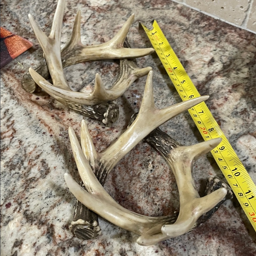 Rustic Antler Decor - Picture 2 of 3